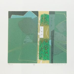 Wakabayashi -  Midore/verde