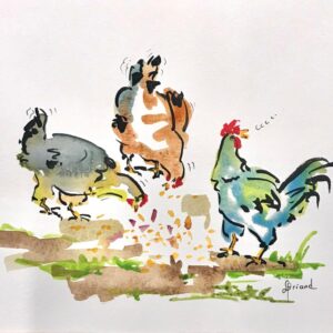 Liane Briand - Galinhas (2)