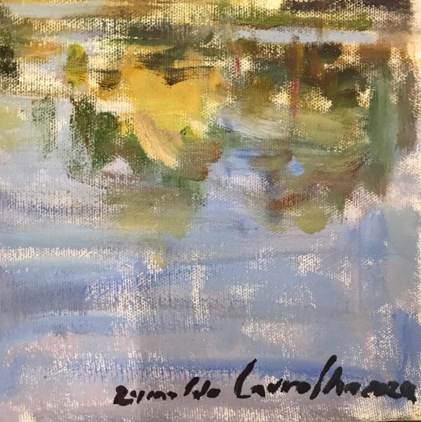Reginaldo Carvalho - Parque Bacacheri - Imagem 4