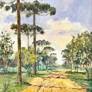 Reginaldo Carvalho - Colônia Muricy