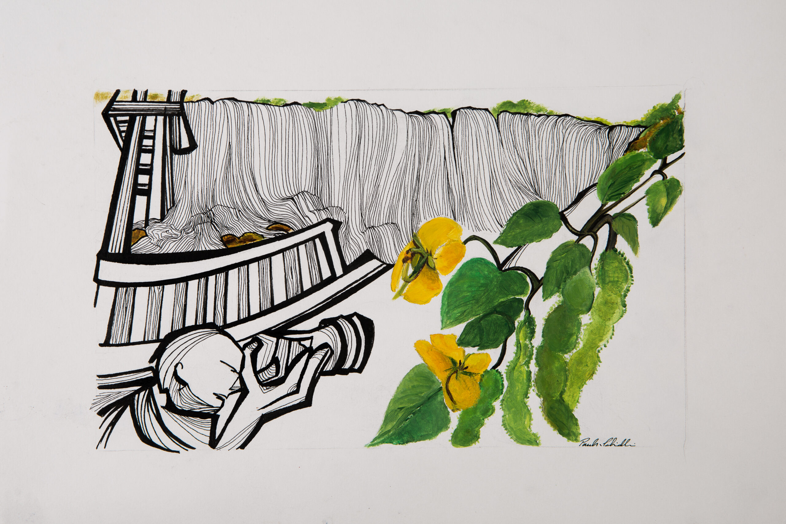Paula Schmidlin - Sem título (paisagem com flores) - Imagem 2