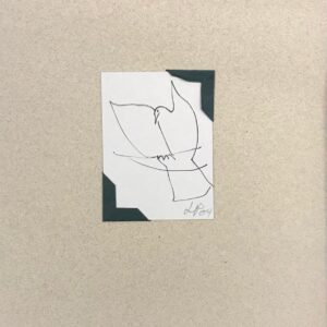 Leila Pugnaloni - Sem título (pombo)