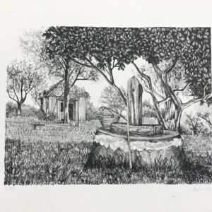 Jaqueline Braun - Pinheiros