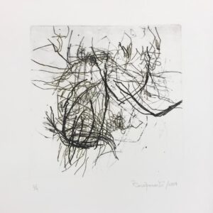 Paulo Crapunarlo - Sem título (4)