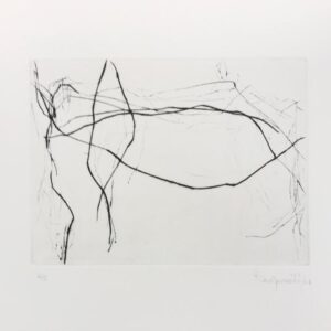 Paulo Carapunarlo  - Sem título (5)