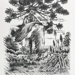 Márcia Szeliga - A Araucária e a Gralha