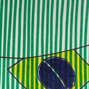 Dani Henning - Série Brasil (4)