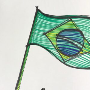 Dani Henning - Série Brasil (6)