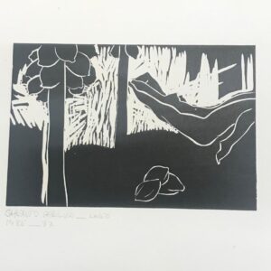 Orlando daSilva - Sem título (corpo com árvore de cacau)