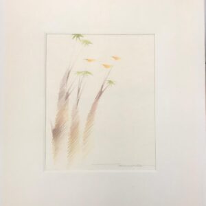 Toshiyuki Sawada - Pássaro