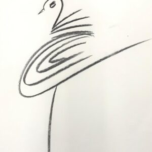 Antônio Mir - Série Palomas e Bicicletas (3)