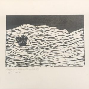 Orlando daSilva - Sem título (Cacto)