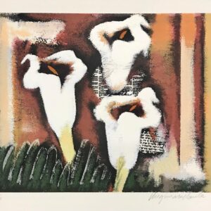 Virginia de Paula - Copos de Leite