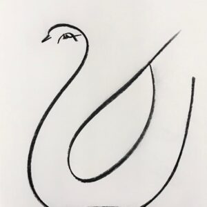 Antônio Mir - Série Palomas e Bicicletas (10)