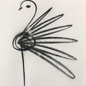 Antônio Mir - Série Palomas e Bicicletas (9)