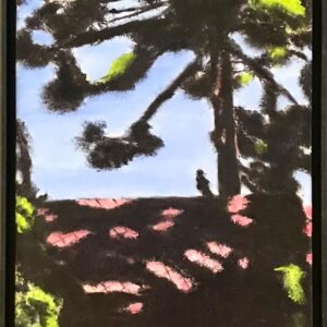 Jayabujamra - Pinheiro Altamira