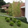 Paisagismo - 2025 - Image 3