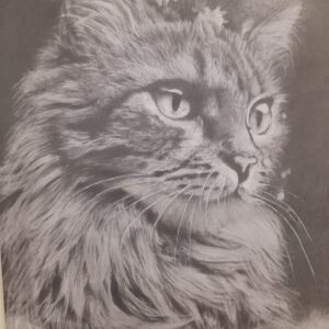 Ateliê Permanente de Desenho Realista com Grafite - 2026