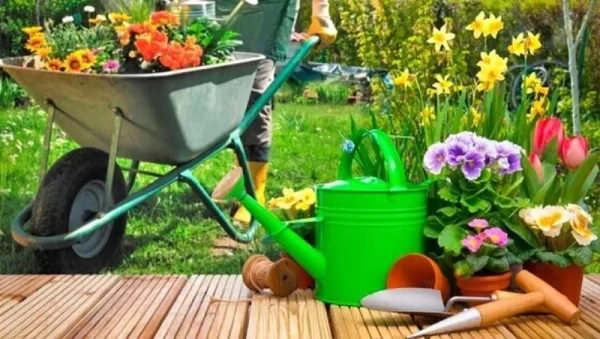 Curso de Jardinagem - Março 2025