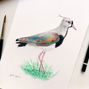 Descomplicando a Aquarela - 2026